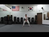 Leo Leizerovitz — 7TH MOO DUK KWAN® USA VIRTUAL COMPETITION REGISTRATION