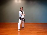 Dragons - stepping center punch