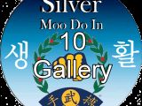 Silver Moo Do In - Session 10 -  15Jul23 - Gallery View