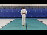 Levi Kraft — 7TH MOO DUK KWAN® USA VIRTUAL COMPETITION REGISTRATION
